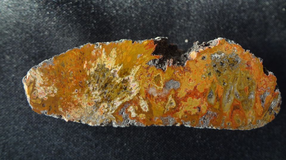 Pecka s mechem - lom v Doubravicích